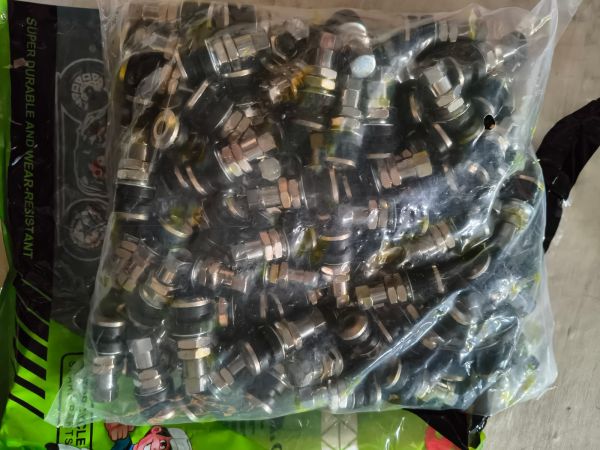 Сасок прямой